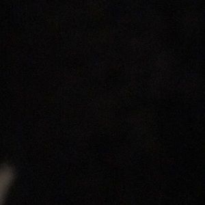 Meet your Posher, Bella